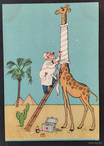 Вальк Г. Айболит. 1956 г. Читая.