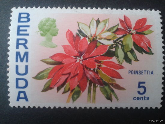 Бермуды 1970 цветы