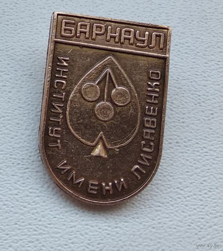 Барнаул, Институт имени Лисавенко 1-2