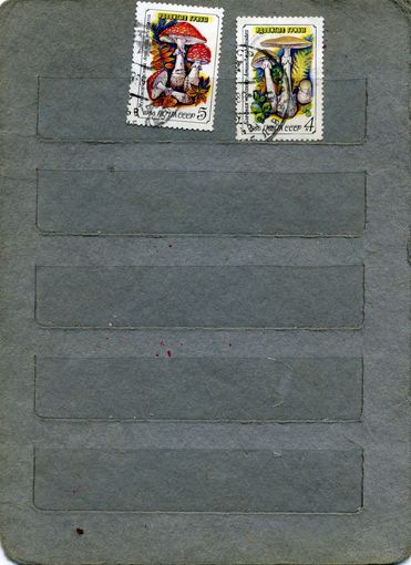 СССР, 1986,   ЯДОВИТЫЕ ГРИБЫ  2м,