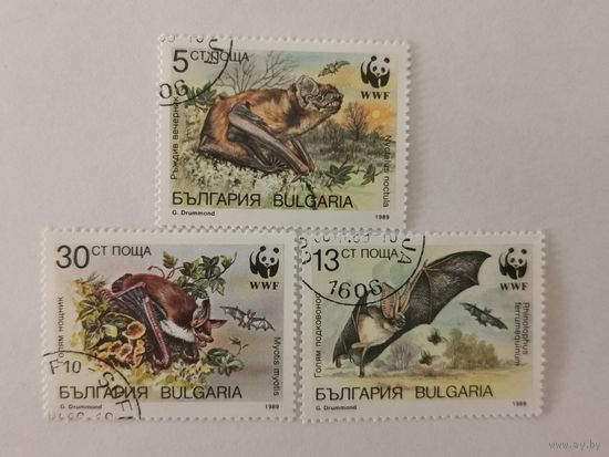 Всемирный фонд дикой природы (WWF) - Летучие мыши
