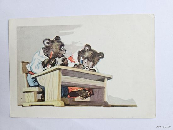 Вендер 1957 Рига школа