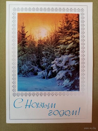 Костенко Жребин 1976 С Новым Годом! чистая АВИА