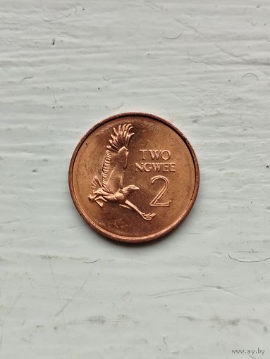 2 нгве Замбия.