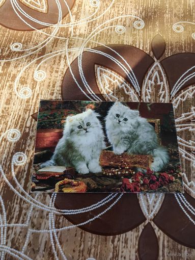 Календарик,коты,1998