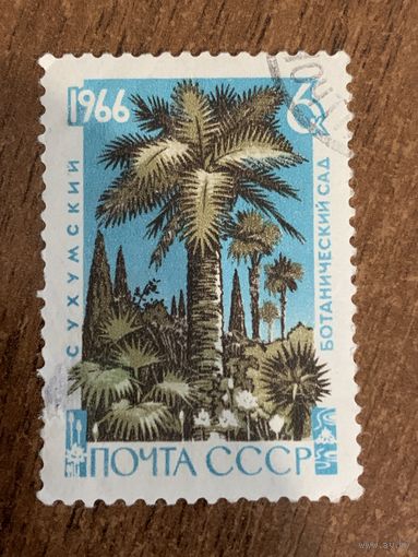 СССР 1966. Сухумский ботанический сад. Марка из серии