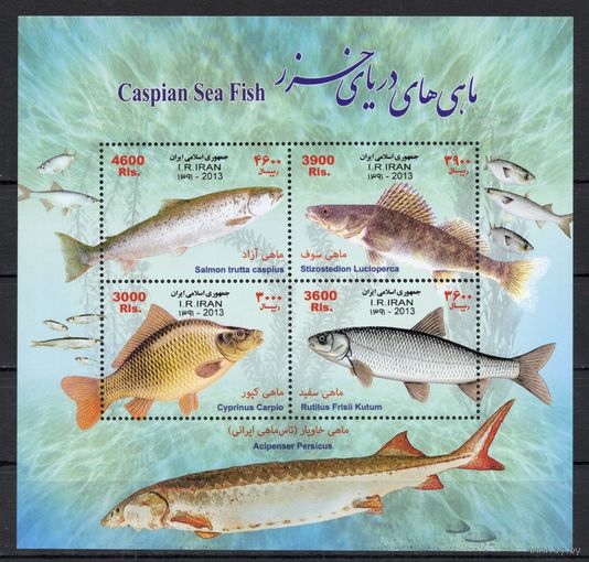 Иран 2013. Рыбы блок (3305)