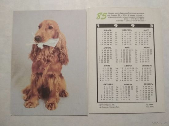 Карманный календарик. Собака.1993 год