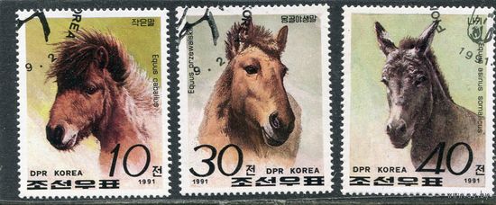 КНДР. Породы лошадей