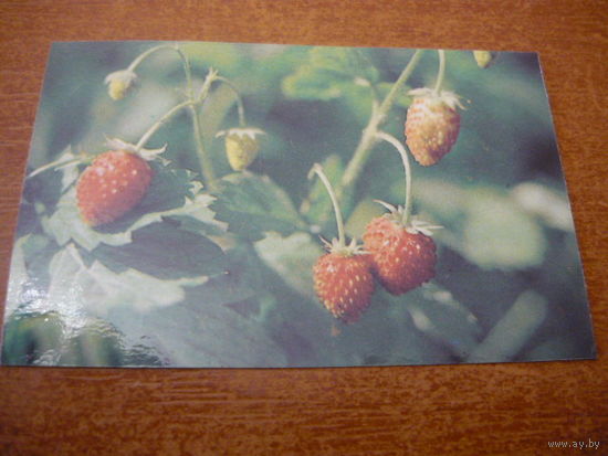 1991