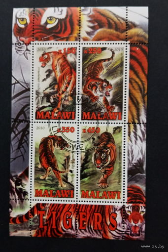 ЛИСТ ФАУНА животные  СТО