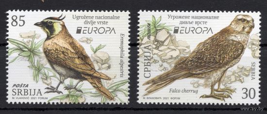 Сербия 2021. EUROPA CEPT Птицы (1005)