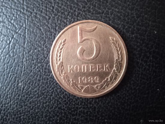 5 коп. 1989 г.