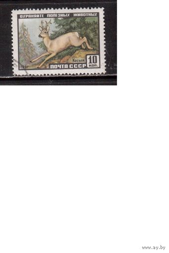 СССР-1961 (Заг.2447)  гаш. , Фауна(Косуля)