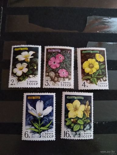 1977 СССР флора цветы архитектура чистая полная серия MNH** одна без клея (сф-1)