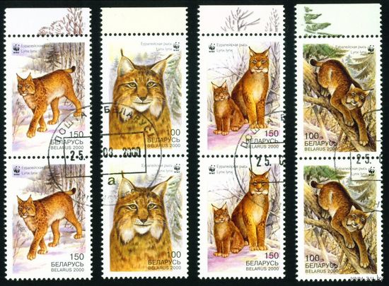 Европейская рысь Беларусь 2000 год (384-387) серия из 4-х марок в сцепках по 2