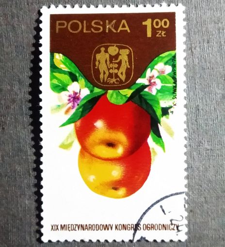 Марка Польша 1974 год XIX Международный конгресс садоводства