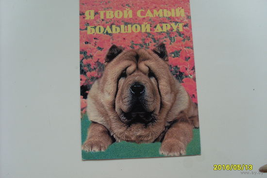 Открытка "Я твой самый большой друг"