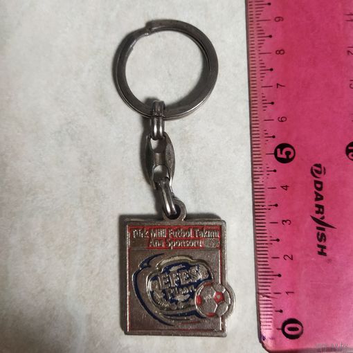 Металлический брелок Efes Pilsen, посвященный турецкой национальной сборной по футболу.