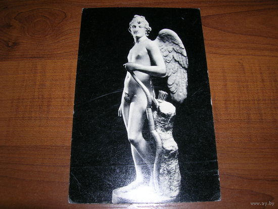 Эрмитаж Амур