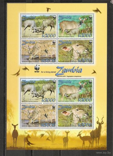 ЛС Замбия 2008 Фауна