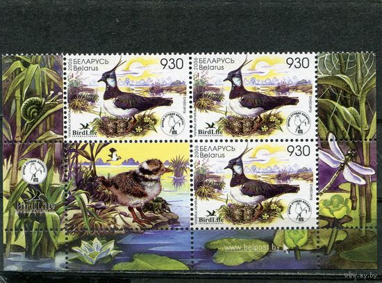 Беларусь 2006. Птица года. Чибис. Нижняя часть листа с купоном