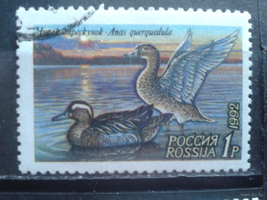Россия 1992 Утки