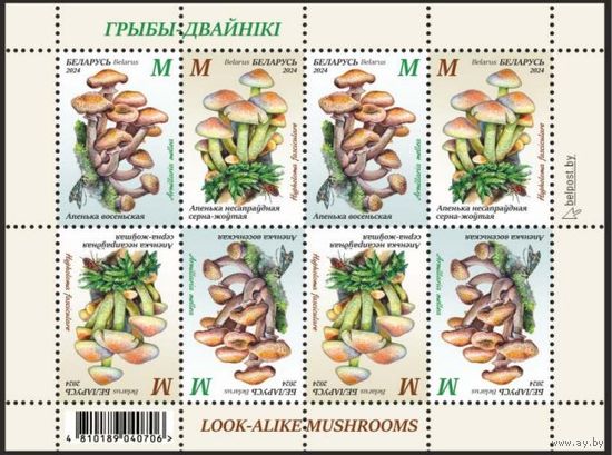 2024г Беларусь MNH  Малый лист "Грибы-двойники"