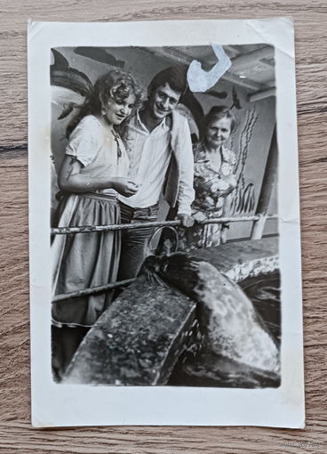 Семья и тюлень, СССР (1985), подписана