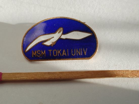 Знак. Университет МСМ Токай, Токио, Япония. тяжёлый