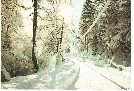 Открытка 1978, подписана.