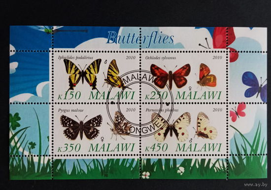 ЛИСТ ЖУКИ БАБОЧКИ НАСЕКОМЫЕ  СТО