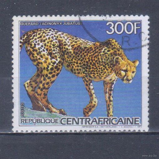 [1272] ЦАР 1986. Фауна.Дикие кошки.Гепард. Гашеная марка.