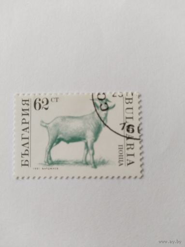 Болгария 1991 дом.животн.