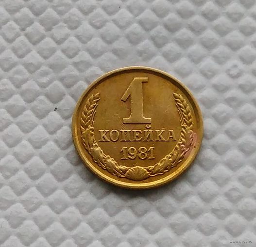 1 копейка.1981 г. СССР. #1