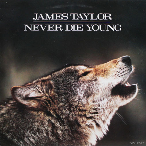 James Taylor - Never Die Young 1988, LP