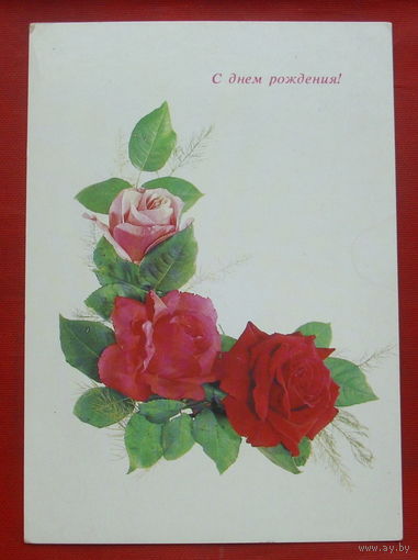 С днём рождения! Чистая. 1984 года. Фото Якименко. 1762.
