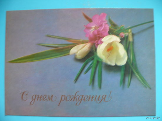 Савалов Е., С днем рождения! 1985, чистая.