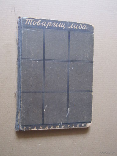 Г. Сандомирский. Товарищ Лида.