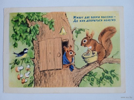 1954. Ушакова. "Живут две белки высоко..."