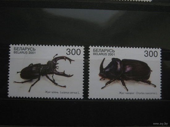 Марки - Жуки Беларусь 2001 год (415-416) серия из 2-х марок