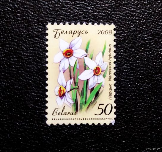 Марка Беларусь 2008 год Цветы
