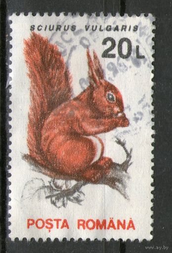 Румыния. Михель- 4903. Гашеная.