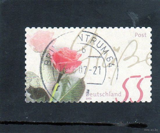 Германия. Ми-2317. Цветы.Роза.2003