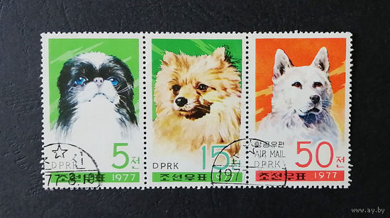 КНДР Северная Корея 1977 г. Породы собак. Фауна, полная серия из 3 марок #0213-Ф1P41