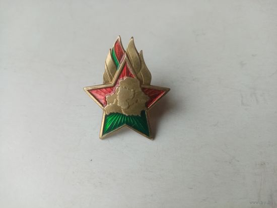 ЗНАК ПИОНЕР РБ