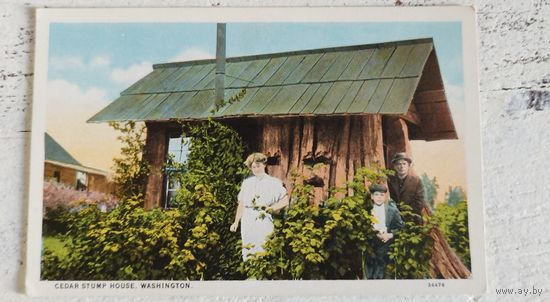 Вашингтон. ЧИСТАЯ. 1930-е