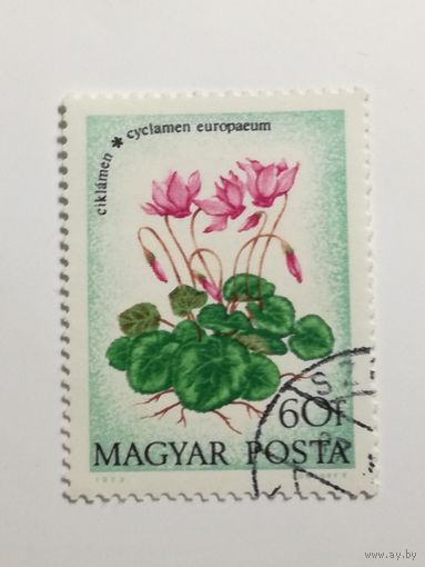 Венгрия 1973. Полевые цветы