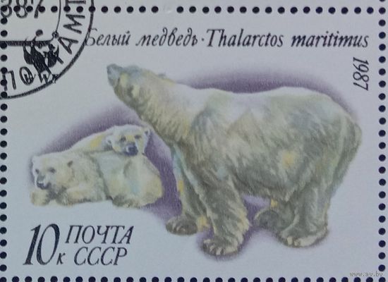 Марка СССР 1987Белый медведь
