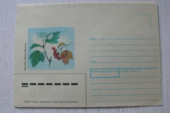 1989, ХНМК, Казакова Н., Калина обыкновенная.